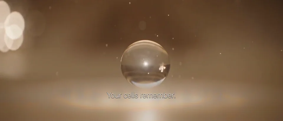 Your cells remember