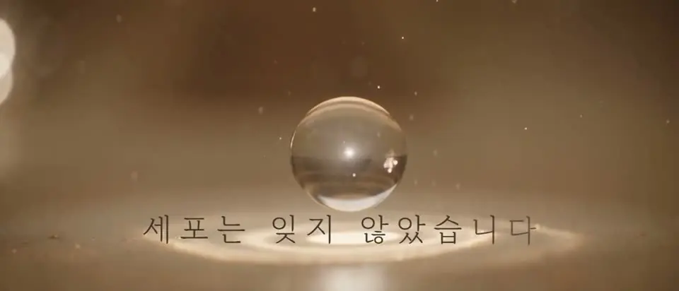 세포는 잊지 않았습니다