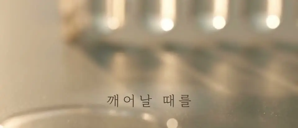 깨어날 때를